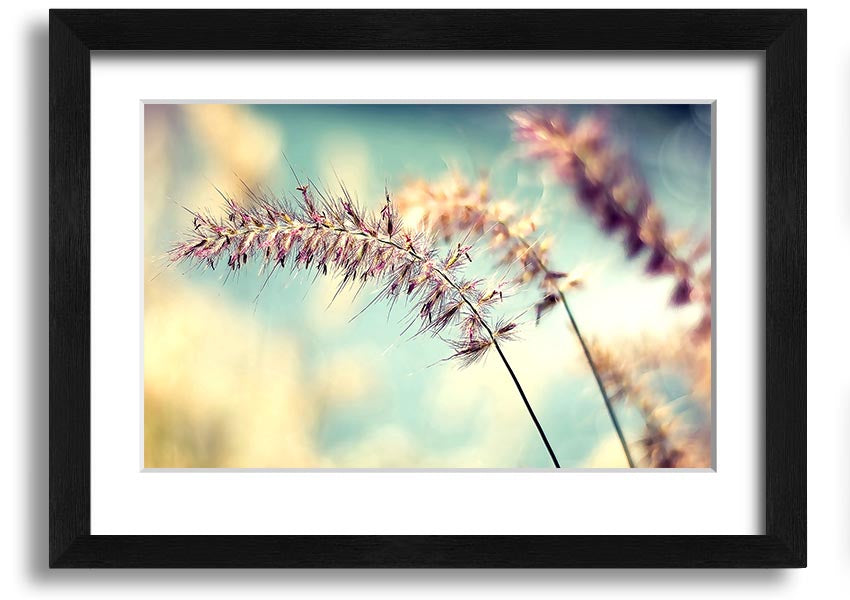 All Along framed print showcasing unique artistic design with multiple frame colour options, ready to hang.