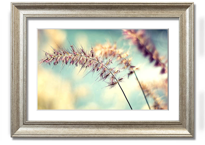 All Along framed print showcasing unique artistic design with multiple frame colour options, ready to hang.