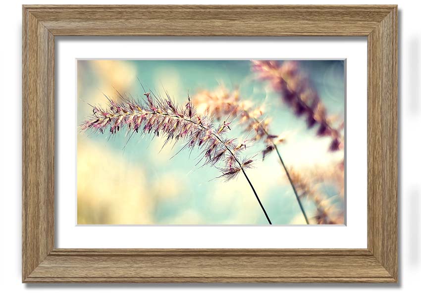 All Along framed print showcasing unique artistic design with multiple frame colour options, ready to hang.