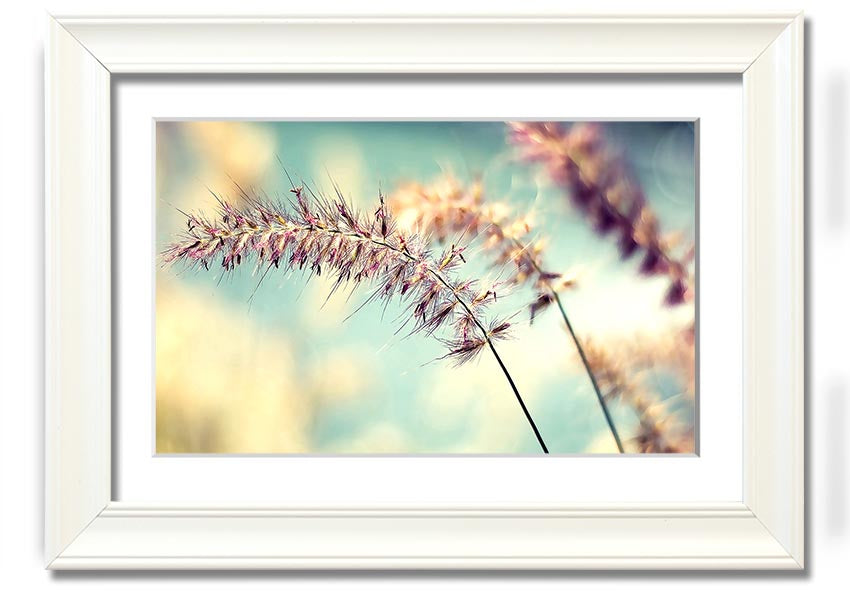 All Along framed print showcasing unique artistic design with multiple frame colour options, ready to hang.