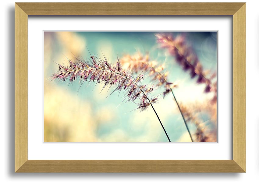 All Along framed print showcasing unique artistic design with multiple frame colour options, ready to hang.