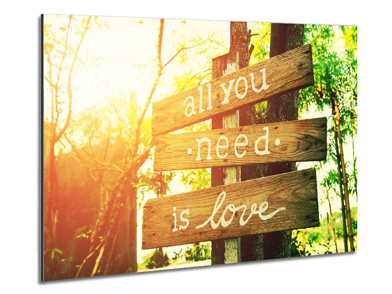 A modern art piece featuring the phrase 'All You Need Is Love' printed on brushed aluminium dibond, showcasing a sleek and contemporary design.