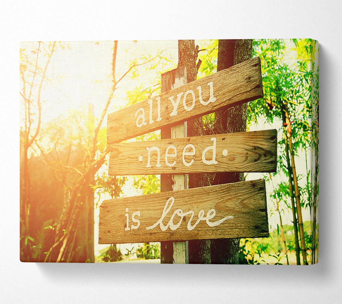 A vibrant canvas print featuring the phrase 'All You Need Is Love' mounted on a sturdy box frame, ready to hang.