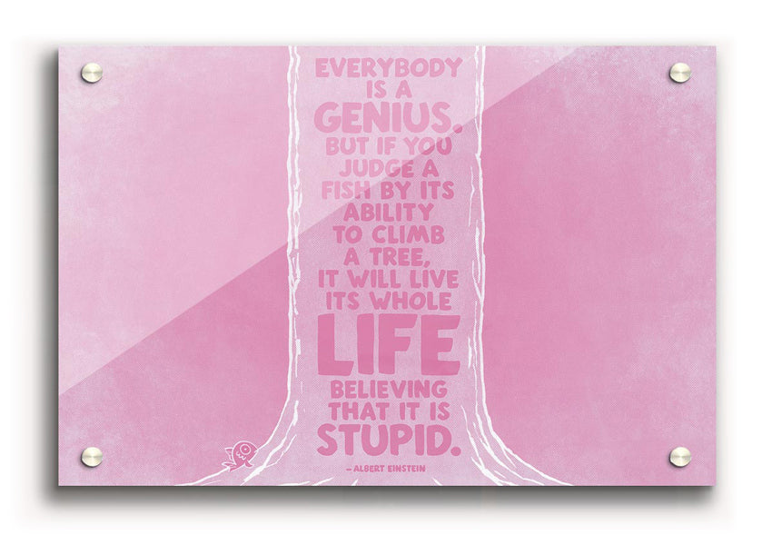 Albert Einstein Everybody Is A Genius Pink acrylic print on a wall, featuring a vibrant pink background and inspirational quote.