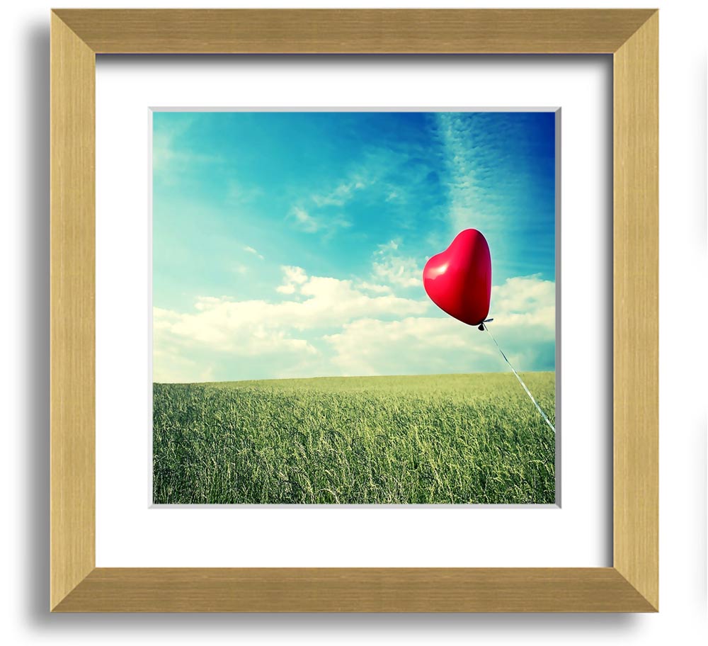 Red Heart Balloon in Field