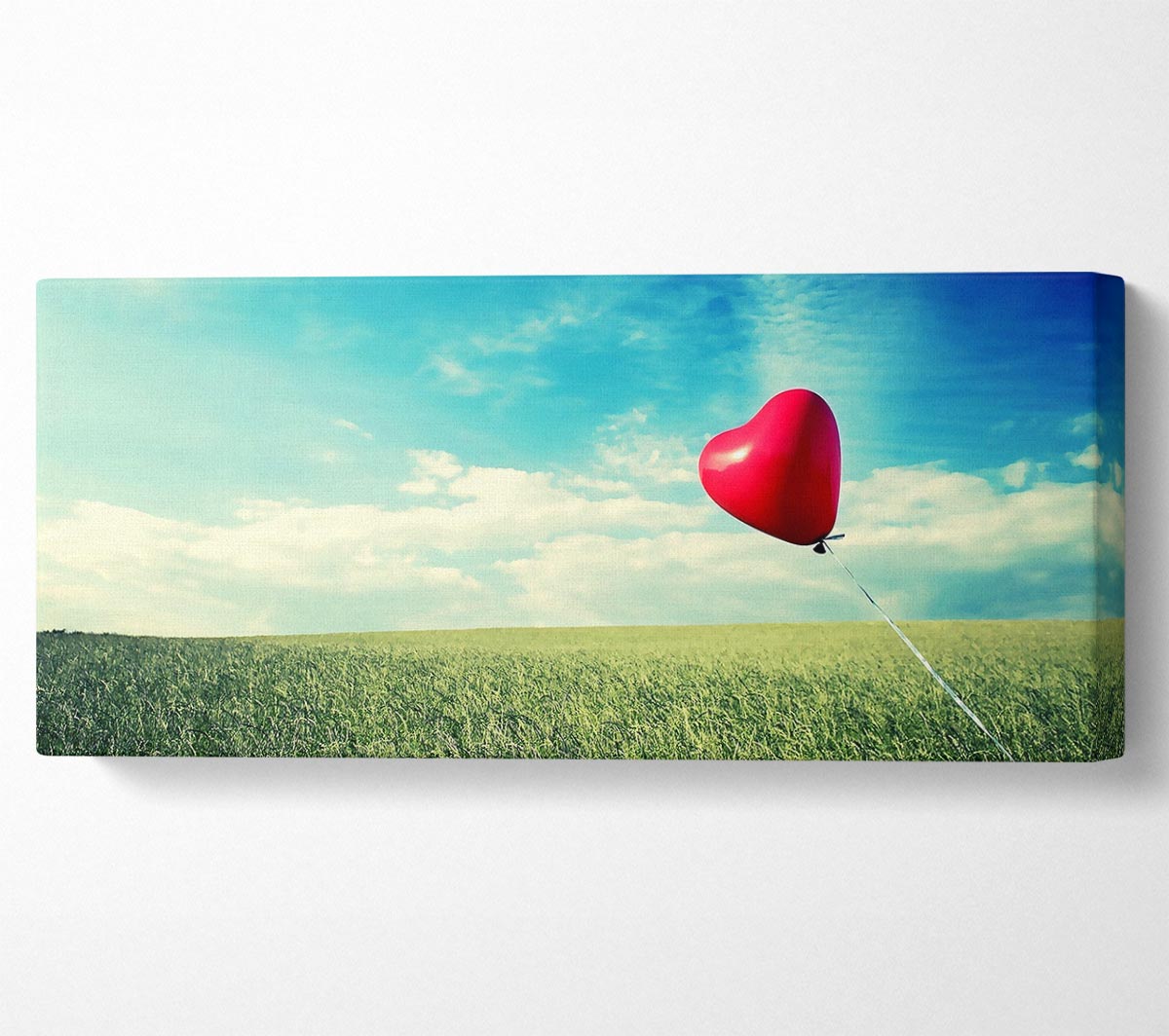 Alone Heart Flying canvas art mounted on a 44mm box frame, showcasing vibrant colors and a unique design.