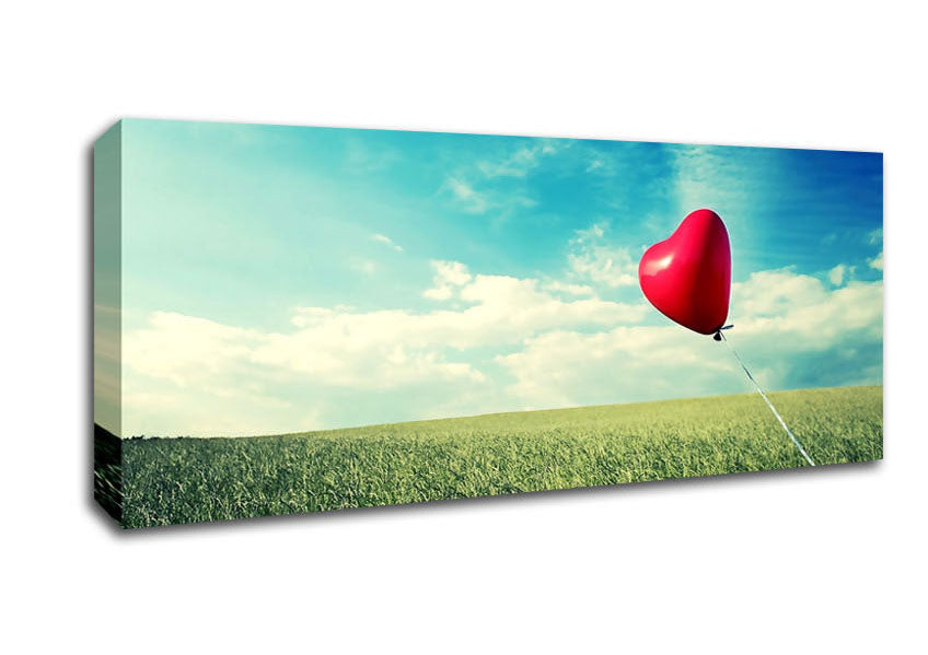 Alone Heart Flying canvas art mounted on a 44mm box frame, showcasing vibrant colors and a unique design.