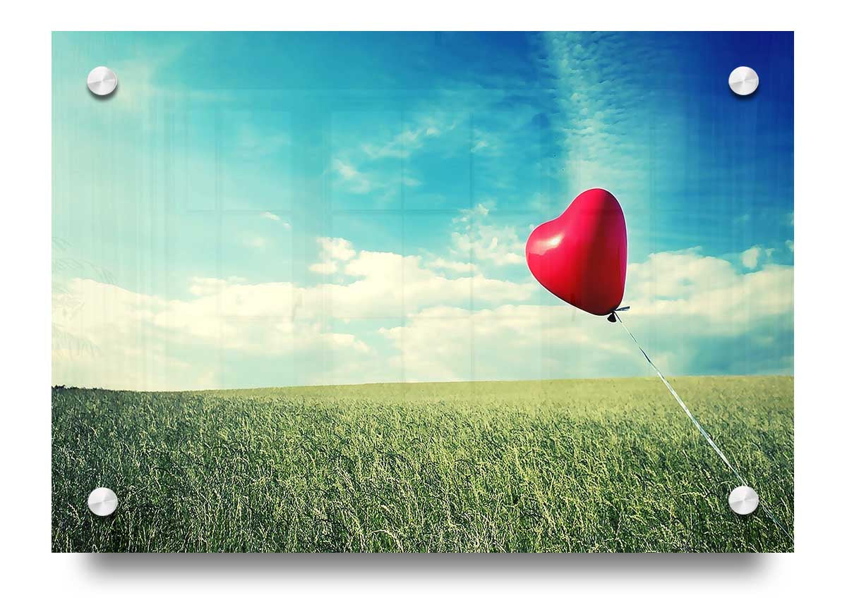 Alone Heart Flying acrylic print on 5mm thick glass, showcasing vibrant colors and heart design.