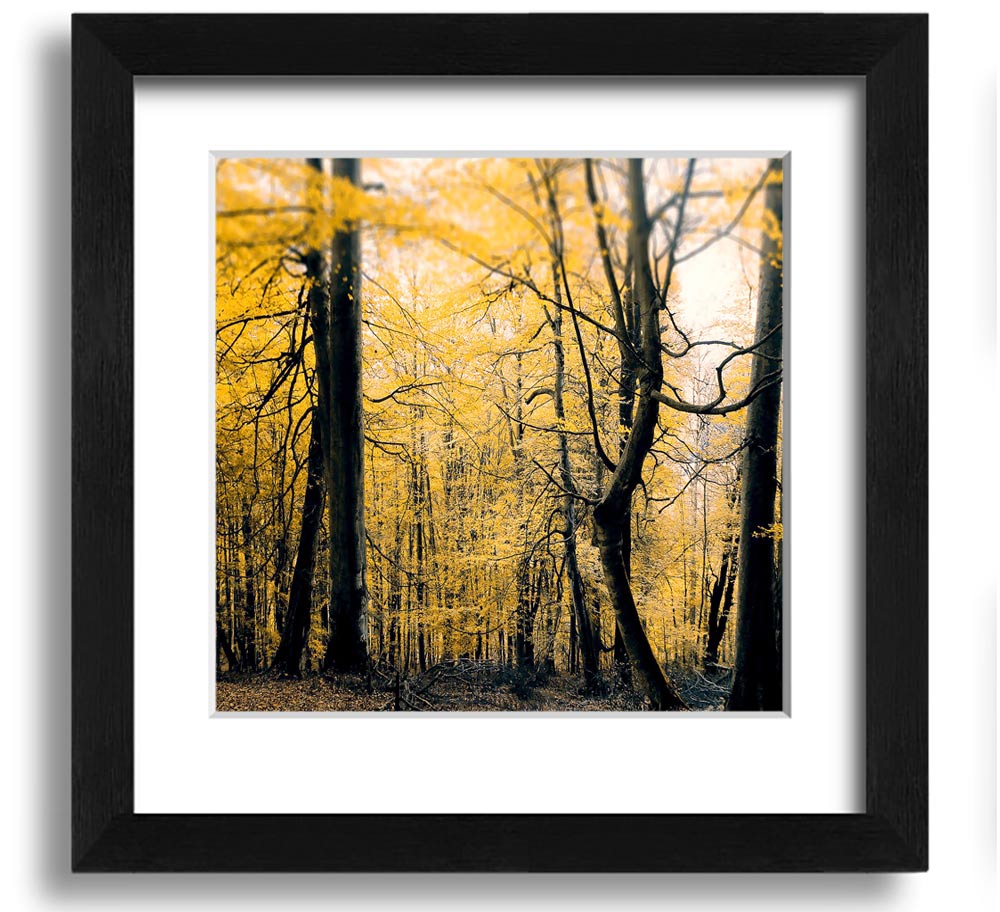 Alone In The Jungle Square Framed Print showcasing vibrant jungle scenery, framed in a stylish color.