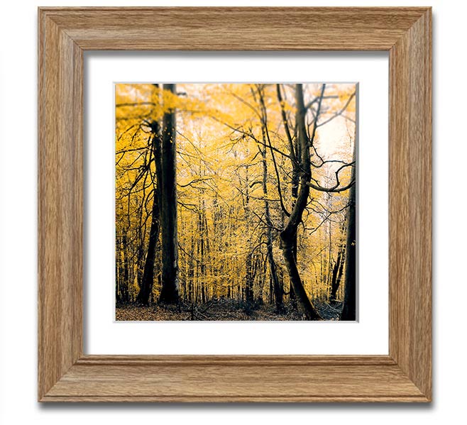 Alone In The Jungle Square Framed Print showcasing vibrant jungle scenery, framed in a stylish color.