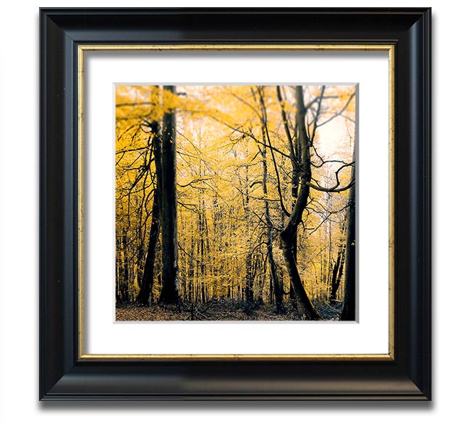 Alone In The Jungle Square Framed Print showcasing vibrant jungle scenery, framed in a stylish color.