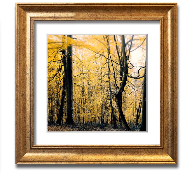 Alone In The Jungle Square Framed Print showcasing vibrant jungle scenery, framed in a stylish color.