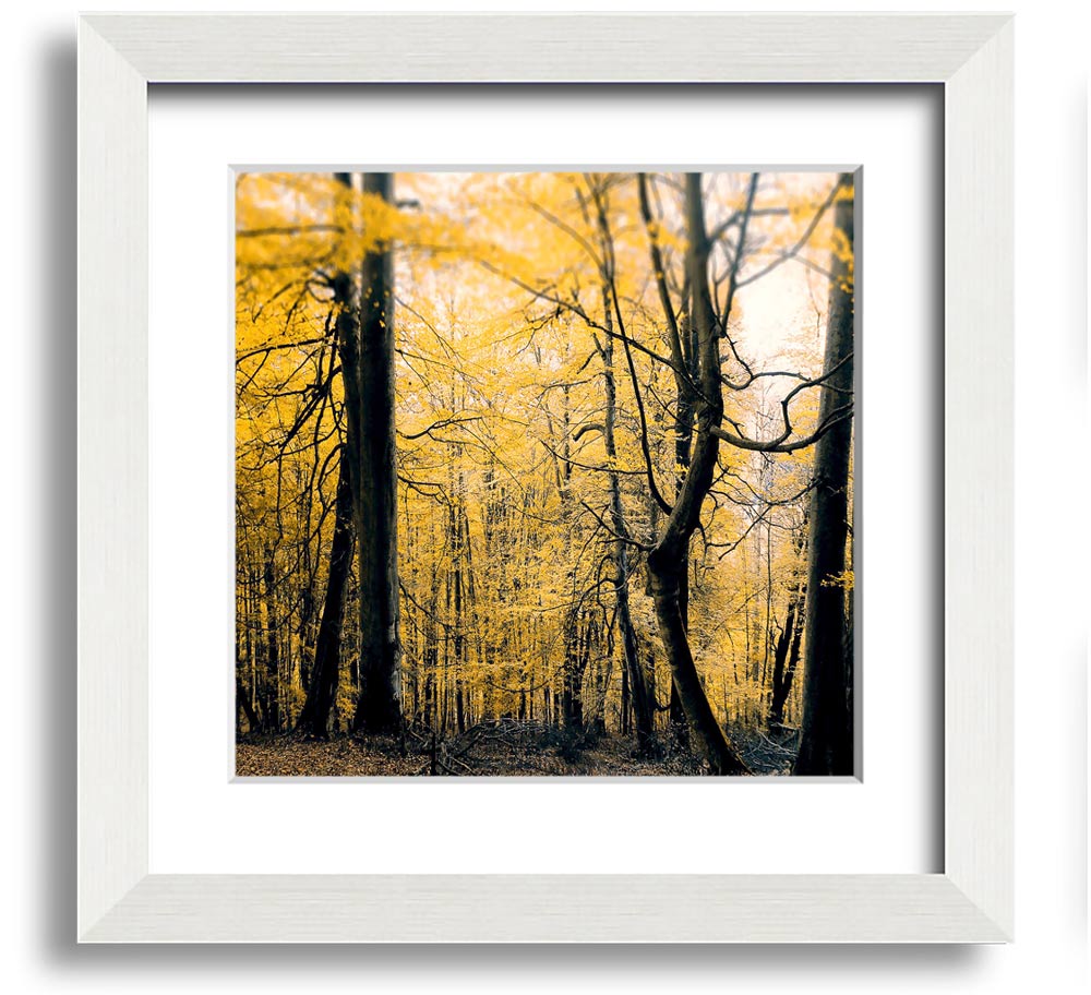 Alone In The Jungle Square Framed Print showcasing vibrant jungle scenery, framed in a stylish color.