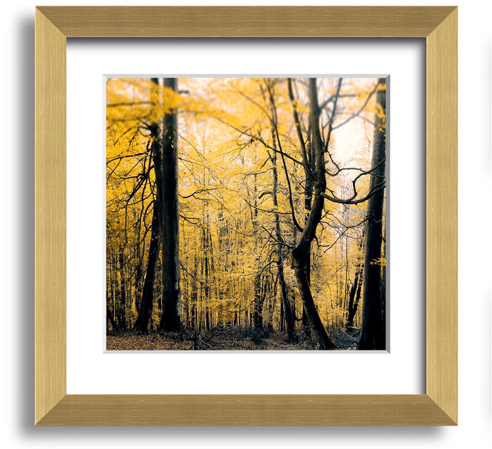 Alone In The Jungle Square Framed Print showcasing vibrant jungle scenery, framed in a stylish color.