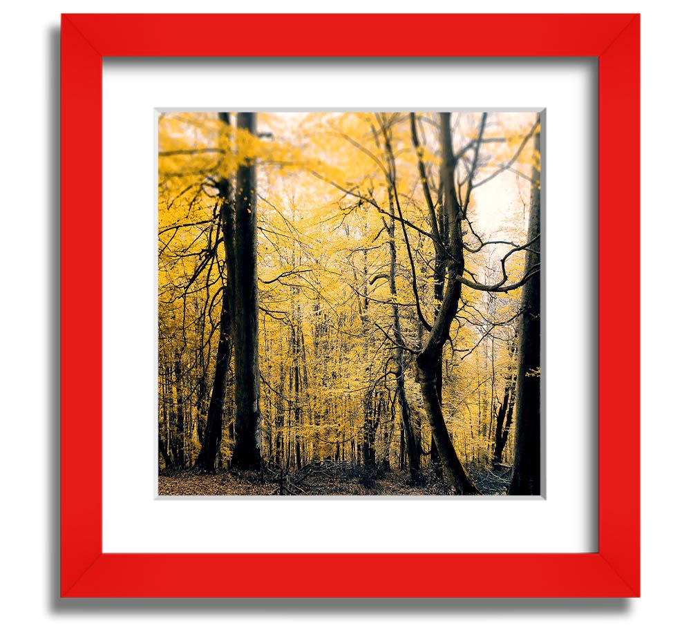 Alone In The Jungle Square Framed Print showcasing vibrant jungle scenery, framed in a stylish color.