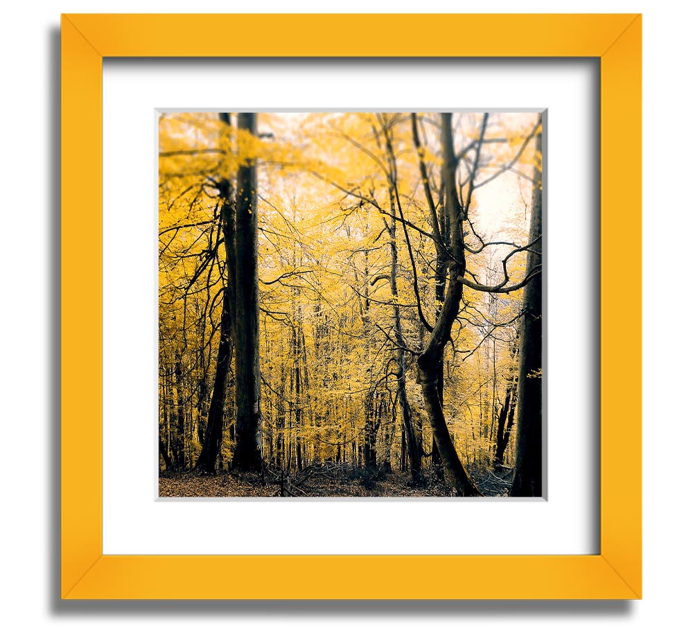 Alone In The Jungle Square Framed Print showcasing vibrant jungle scenery, framed in a stylish color.