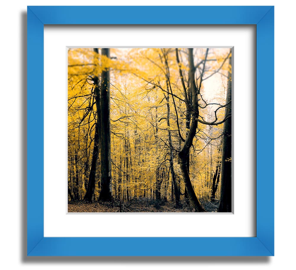 Alone In The Jungle Square Framed Print showcasing vibrant jungle scenery, framed in a stylish color.