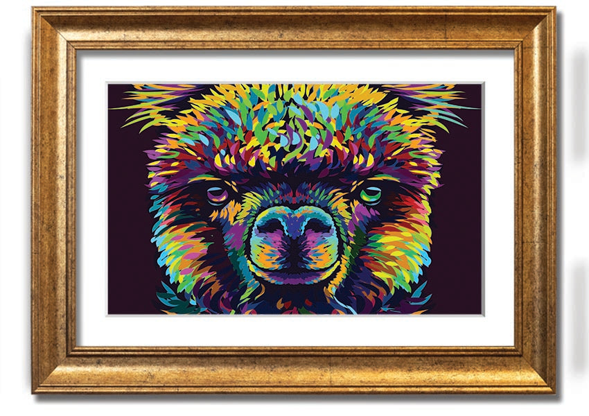 A vibrant framed print of an alpaca, showcasing colorful details, available in various frame colors.