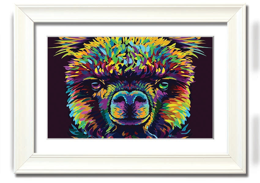 A vibrant framed print of an alpaca, showcasing colorful details, available in various frame colors.