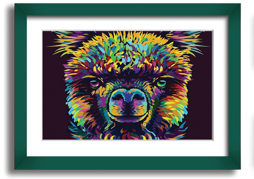 A vibrant framed print of an alpaca, showcasing colorful details, available in various frame colors.