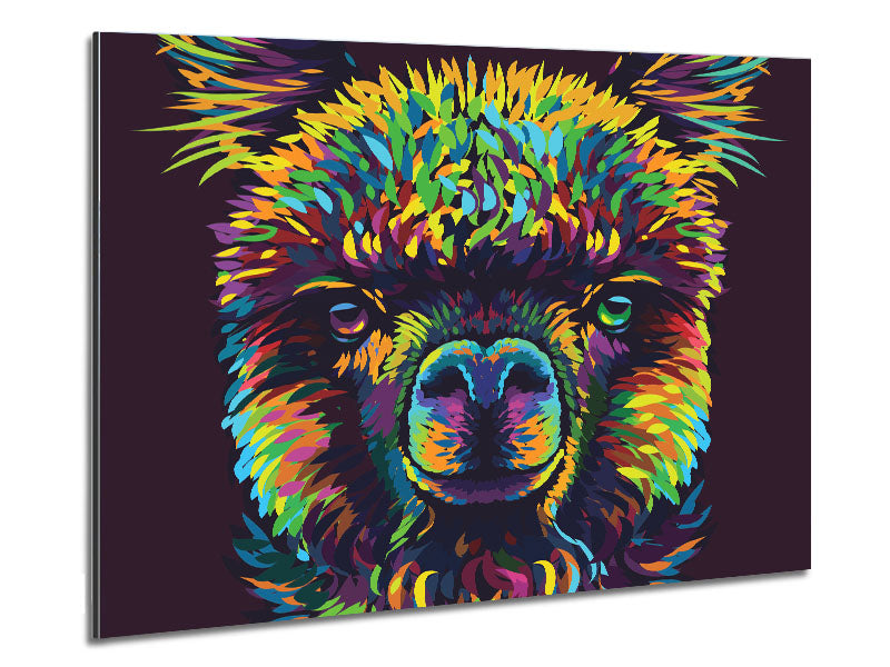 Vibrant 'Alpaca In Colour' artwork printed on brushed aluminium dibond, showcasing a colorful alpaca design.