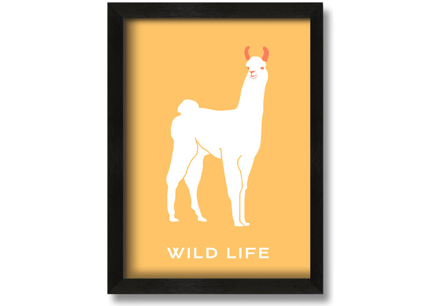 A beautifully framed print of an alpaca, showcasing intricate details and vibrant colours, available in various frame options.