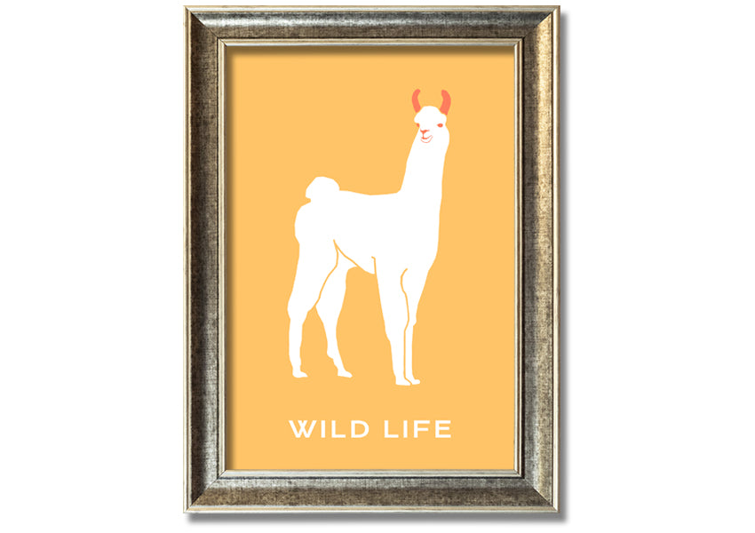 A beautifully framed print of an alpaca, showcasing intricate details and vibrant colours, available in various frame options.