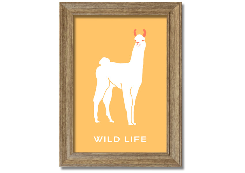 A beautifully framed print of an alpaca, showcasing intricate details and vibrant colours, available in various frame options.