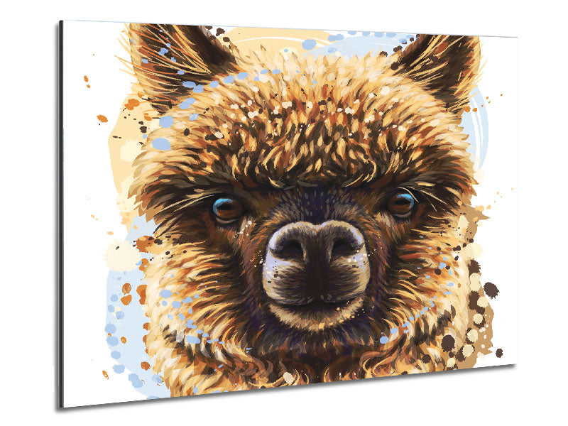 A modern art print of an alpaca's face on brushed aluminium dibond, showcasing vibrant colors and intricate details.