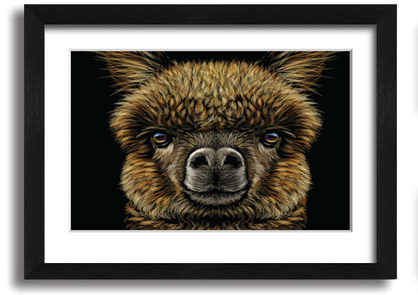 A beautifully framed print of an alpaca, showcasing its detailed features and vibrant colors, available in various frame colors.