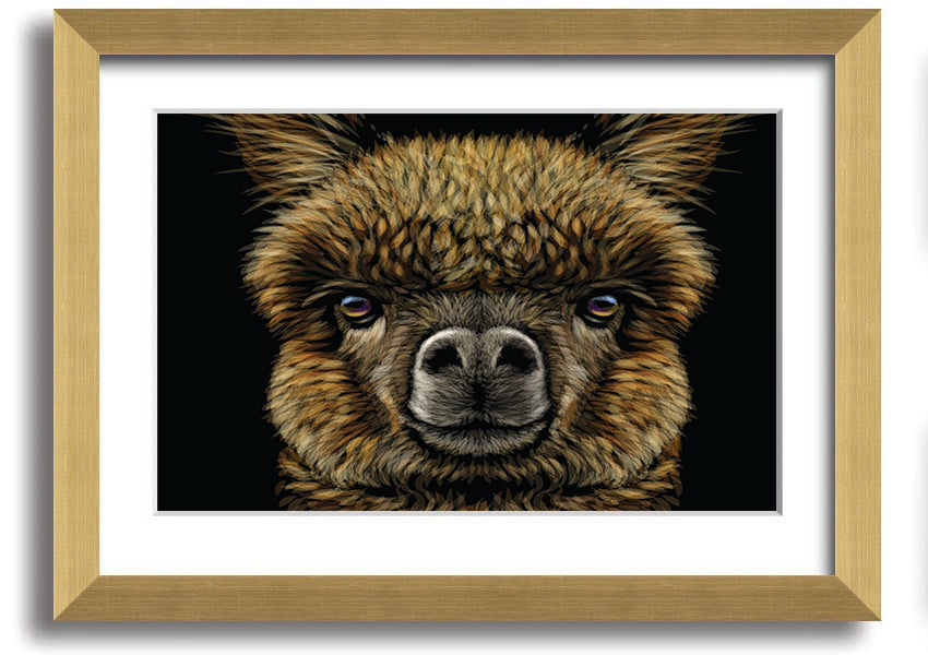 A beautifully framed print of an alpaca, showcasing its detailed features and vibrant colors, available in various frame colors.