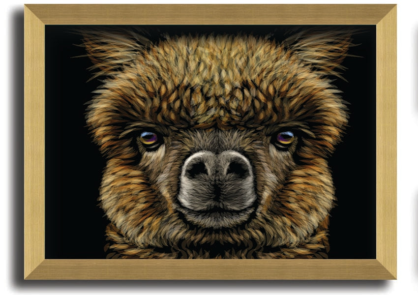 A beautifully framed print of an alpaca, showcasing its detailed features and vibrant colors, available in various frame colors.