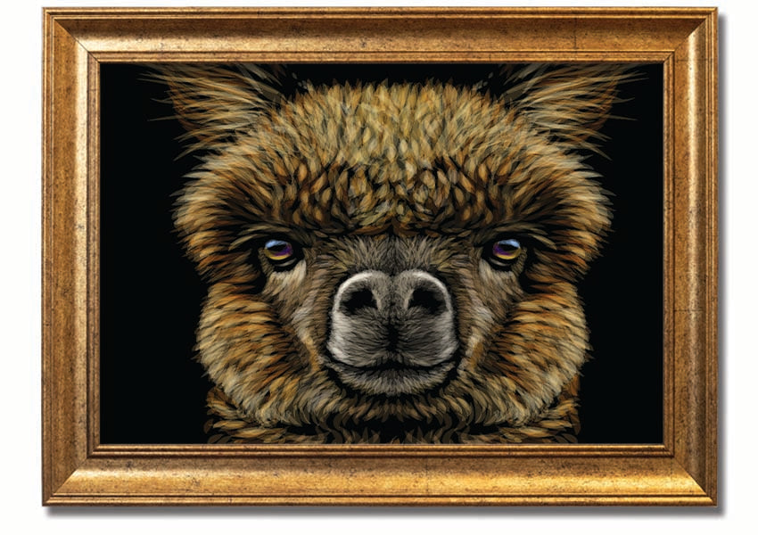 A beautifully framed print of an alpaca, showcasing its detailed features and vibrant colors, available in various frame colors.