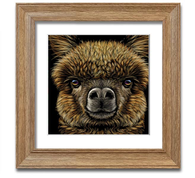 A beautifully framed print of an alpaca, showcasing its soft fur and gentle expression, ready to hang on a wall.