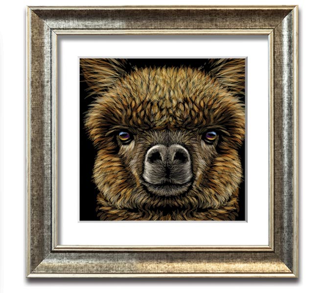 A beautifully framed print of an alpaca, showcasing its soft fur and gentle expression, ready to hang on a wall.