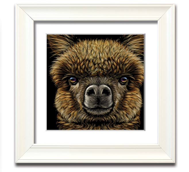 A beautifully framed print of an alpaca, showcasing its soft fur and gentle expression, ready to hang on a wall.