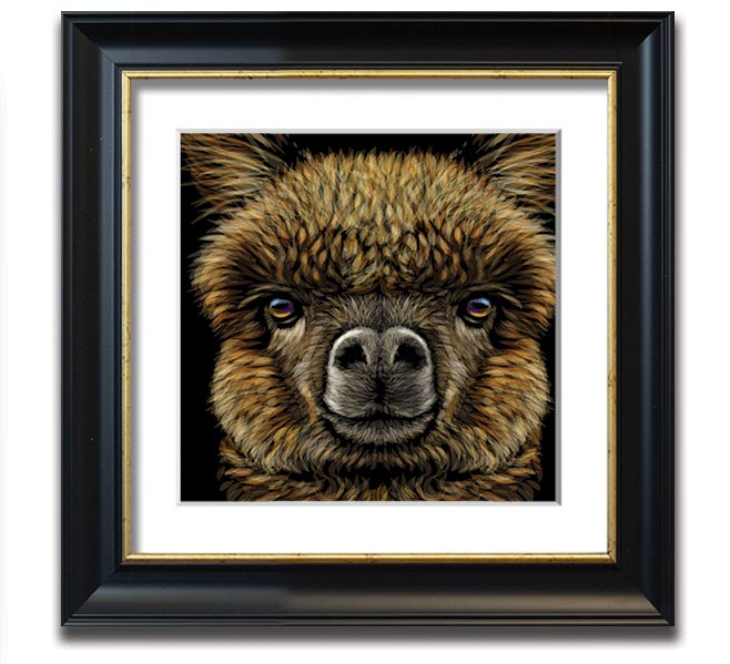 A beautifully framed print of an alpaca, showcasing its soft fur and gentle expression, ready to hang on a wall.