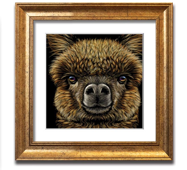 A beautifully framed print of an alpaca, showcasing its soft fur and gentle expression, ready to hang on a wall.