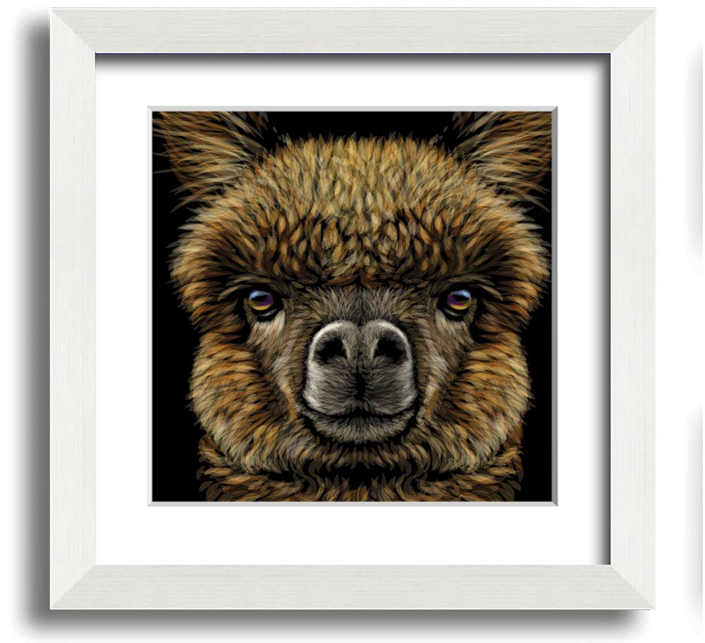 A beautifully framed print of an alpaca, showcasing its soft fur and gentle expression, ready to hang on a wall.