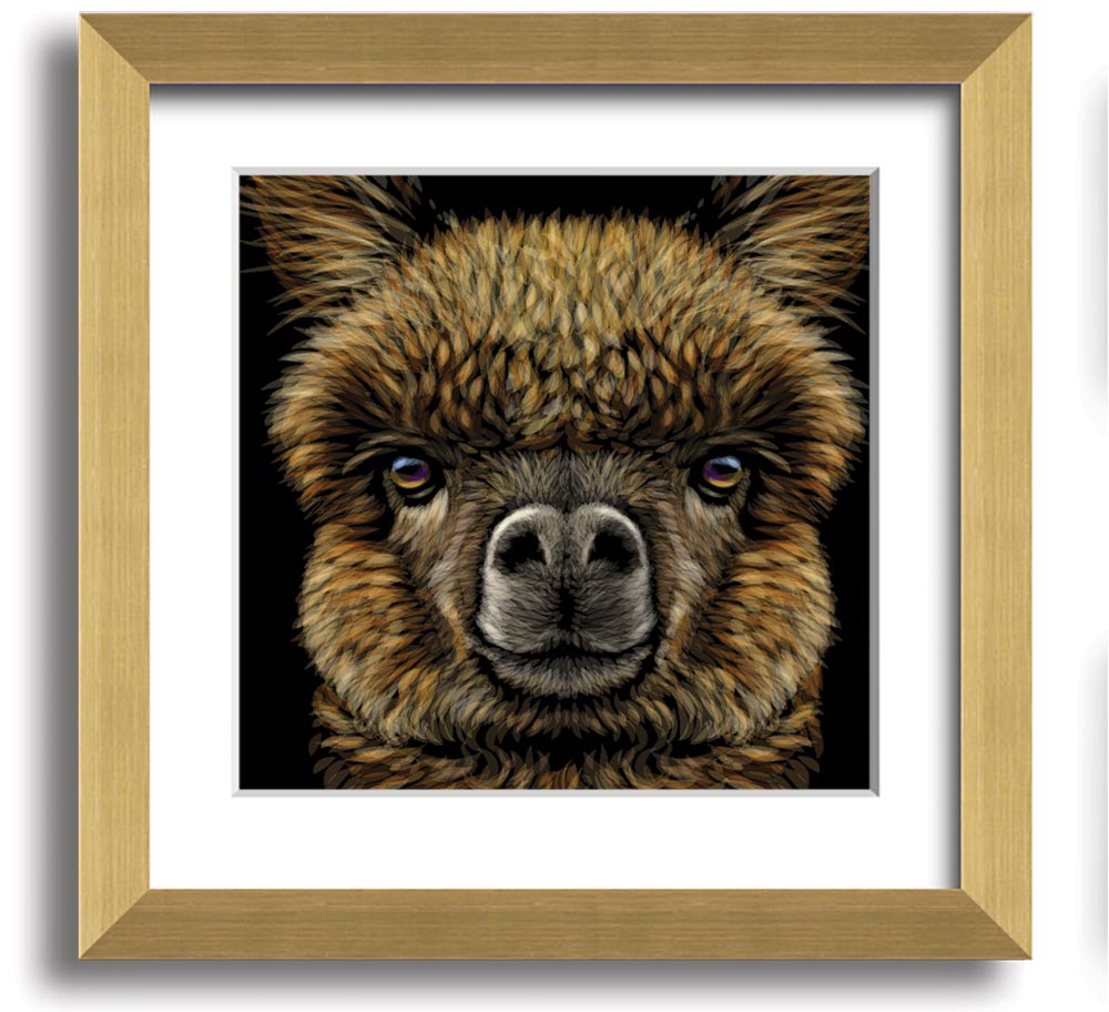 A beautifully framed print of an alpaca, showcasing its soft fur and gentle expression, ready to hang on a wall.