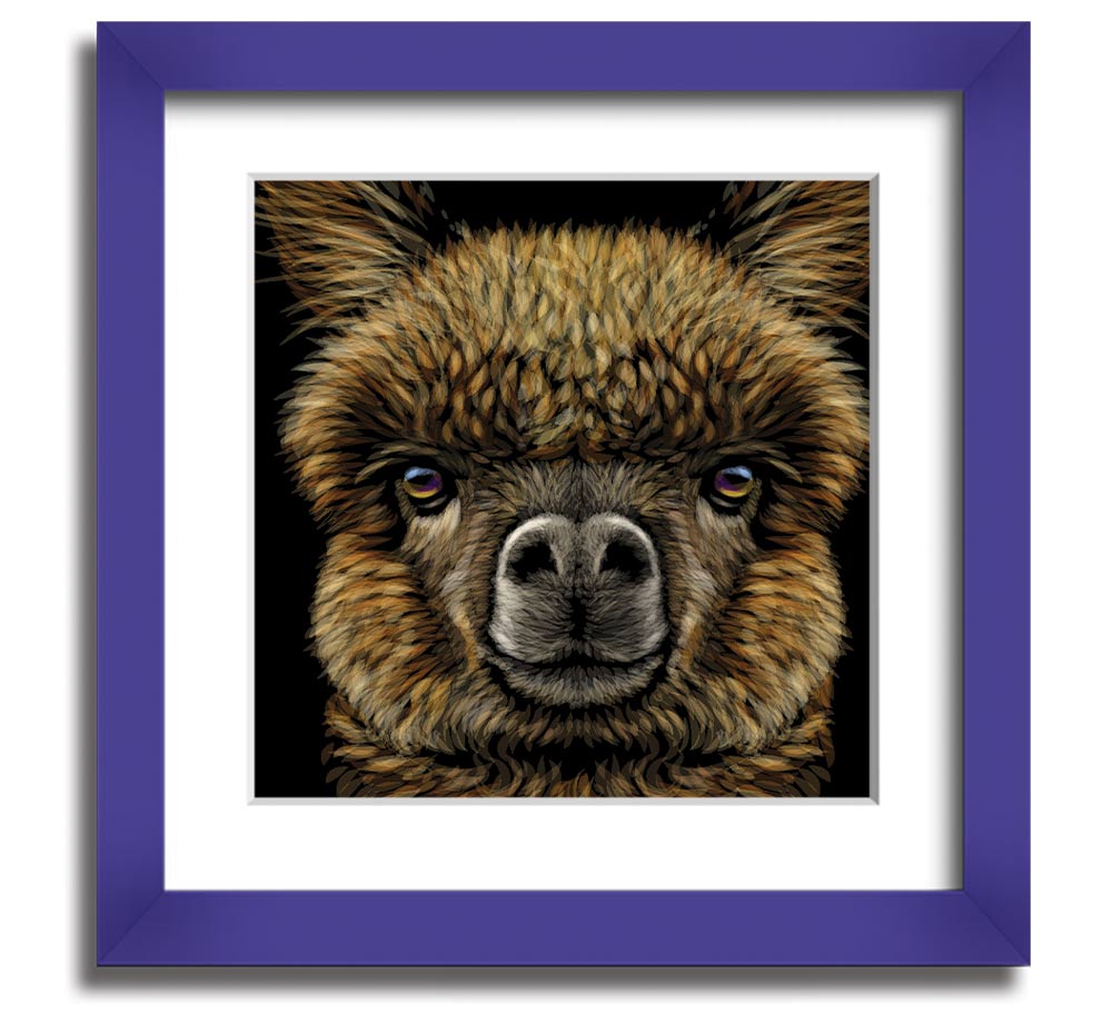 A beautifully framed print of an alpaca, showcasing its soft fur and gentle expression, ready to hang on a wall.