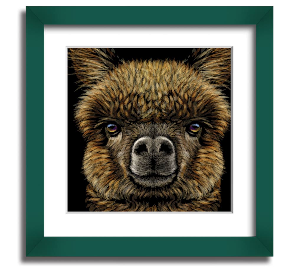 A beautifully framed print of an alpaca, showcasing its soft fur and gentle expression, ready to hang on a wall.