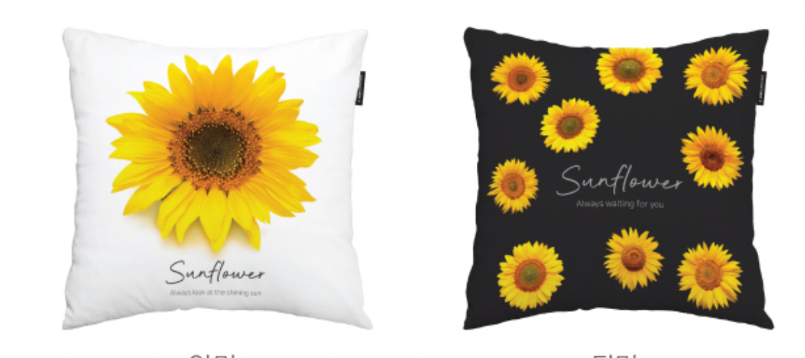 Always Sunflower cushion featuring a vibrant sunflower design on a soft microfiber fabric, perfect for home decor.