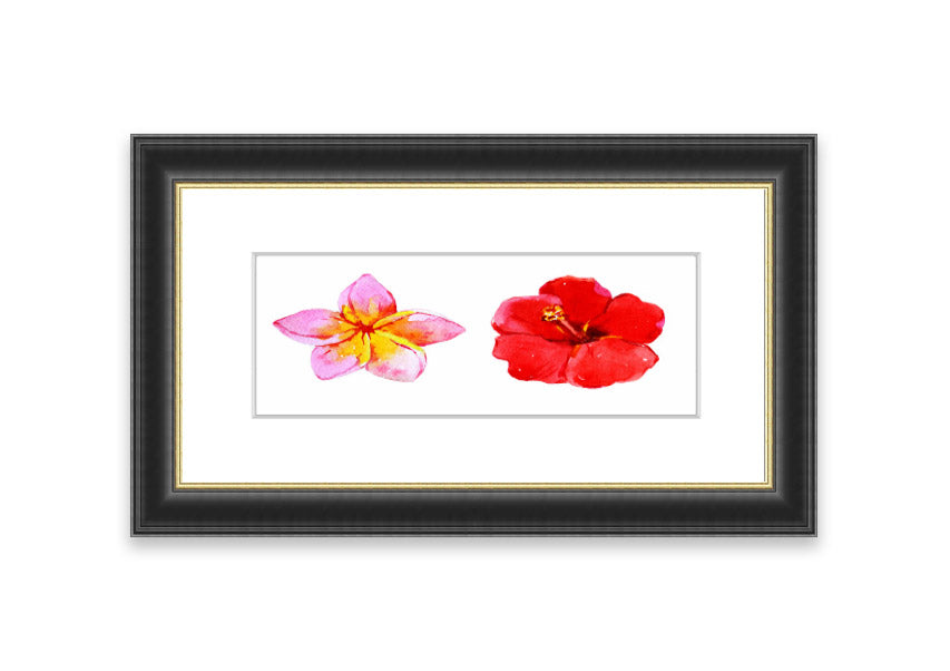 Amaryllis Beauty framed print featuring vibrant flowers, elegantly framed in multiple color options, ready to hang.