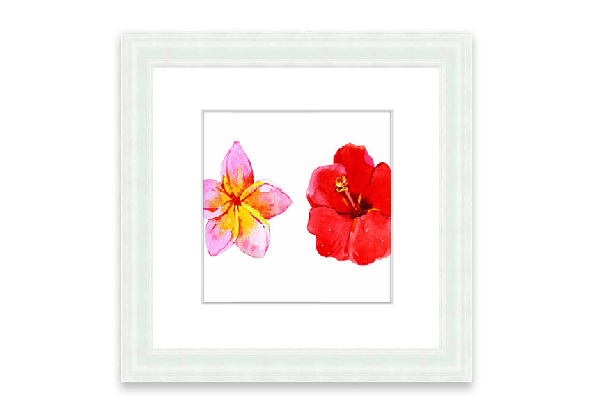 Amaryllis Beauty framed print featuring vibrant flowers, elegantly framed in multiple color options, ready to hang.