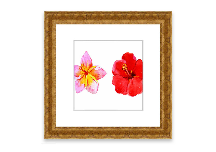 Amaryllis Beauty framed print featuring vibrant flowers, elegantly framed in multiple color options, ready to hang.