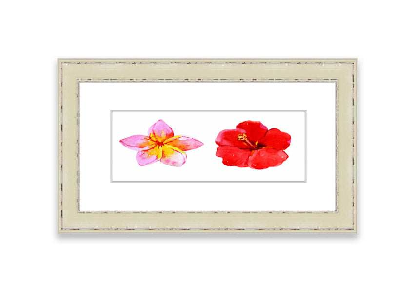 Amaryllis Beauty framed print featuring vibrant flowers, elegantly framed in multiple color options, ready to hang.