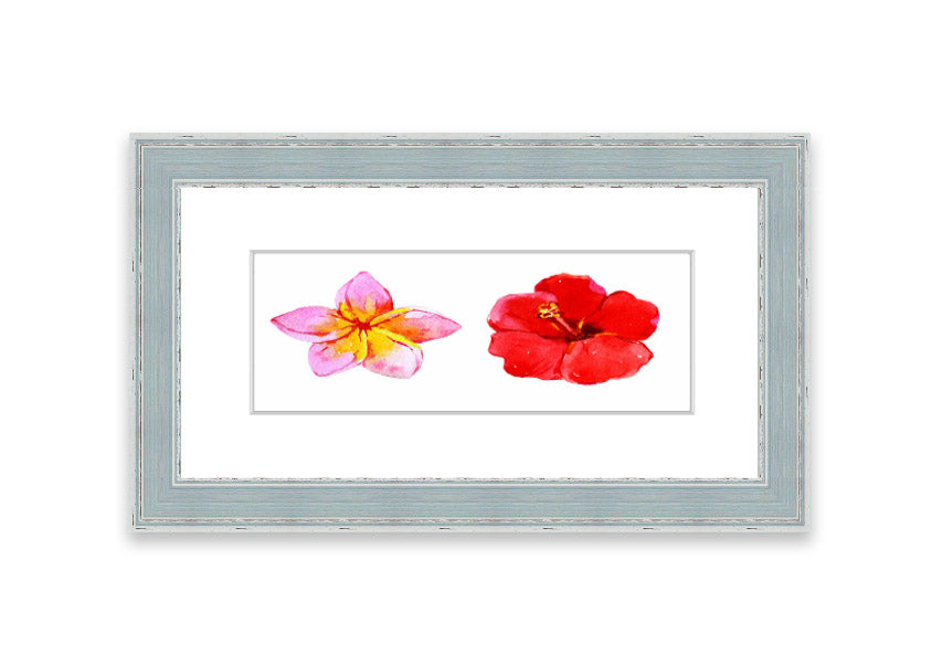 Amaryllis Beauty framed print featuring vibrant flowers, elegantly framed in multiple color options, ready to hang.