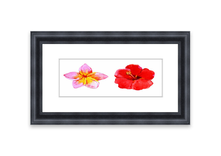 Amaryllis Beauty framed print featuring vibrant flowers, elegantly framed in multiple color options, ready to hang.