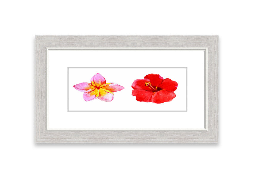 Amaryllis Beauty framed print featuring vibrant flowers, elegantly framed in multiple color options, ready to hang.